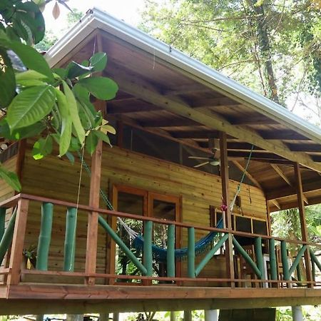 Jungle Beach 2 Bedroom Cottage بوكاس تاون المظهر الخارجي الصورة