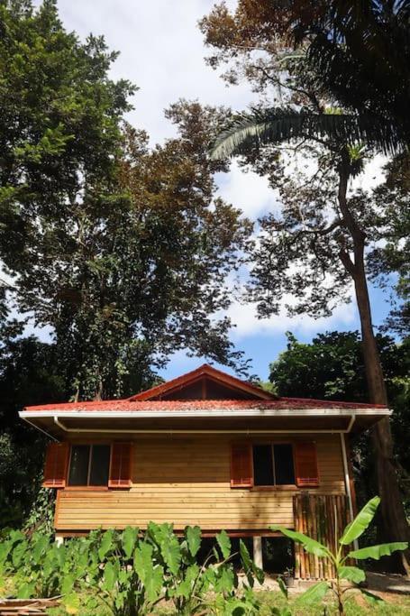 Jungle Beach 2 Bedroom Cottage بوكاس تاون المظهر الخارجي الصورة