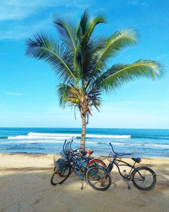 Jungle Beach 2 Bedroom Cottage بوكاس تاون المظهر الخارجي الصورة