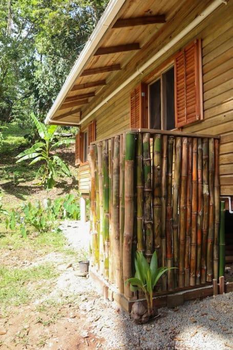 Jungle Beach 2 Bedroom Cottage بوكاس تاون المظهر الخارجي الصورة