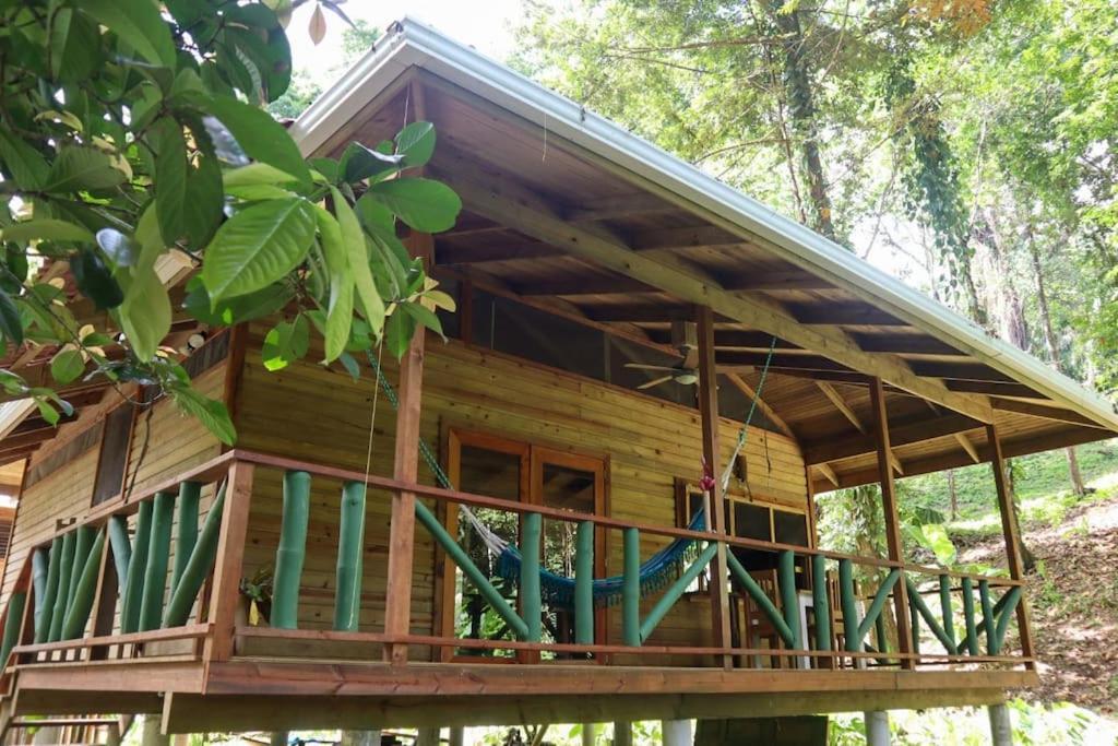 Jungle Beach 2 Bedroom Cottage بوكاس تاون المظهر الخارجي الصورة