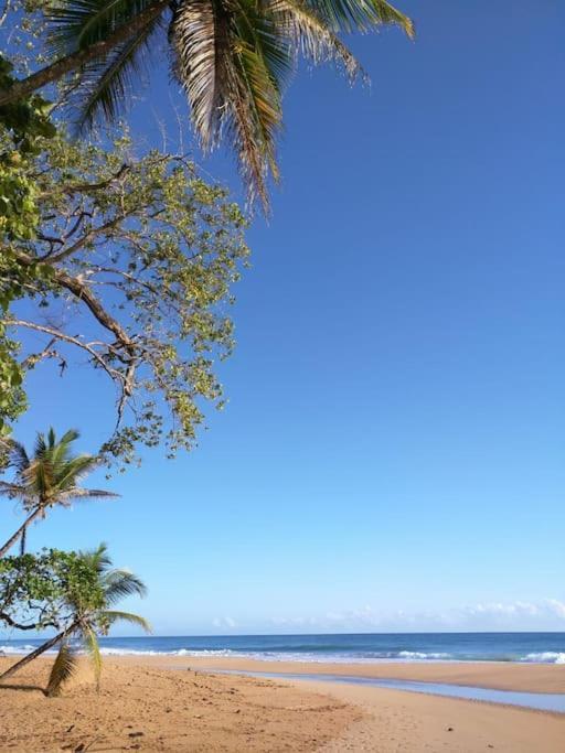 Jungle Beach 2 Bedroom Cottage بوكاس تاون المظهر الخارجي الصورة