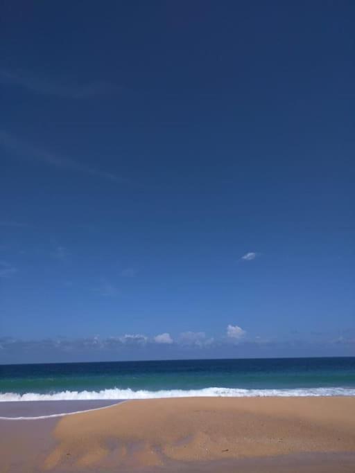 Jungle Beach 2 Bedroom Cottage بوكاس تاون المظهر الخارجي الصورة